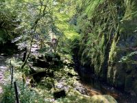 9. Reisetag – Von Inverness nach Edinburgh – Wanderung auf den Spuren von Robert Burns zu den „Birks of Aberfeldy“