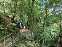 9. Reisetag – Von Inverness nach Edinburgh – Wanderung auf den Spuren von Robert Burns zu den „Birks of Aberfeldy“