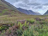 Glencoe