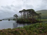 Loch Eilt: Dumbledores Grabstätte