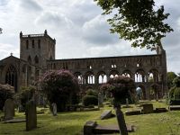 Jedburgh Abbey