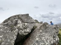 Ich sehe ein Gesicht!