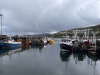 Hafen von Mallaig