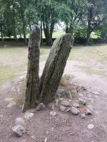 240626 Clava Cairns 02