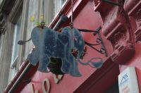 051 - Elephant House