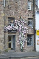 056 - Stadtrundfahrt Edinburgh