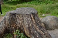 098 - Viadukt Glenfinnan