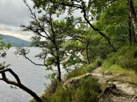 2. Reisetag – Loch Lomond & West Highland Way – Wanderung auf dem West Highland Way von Rowardennan nach Inversnaid
