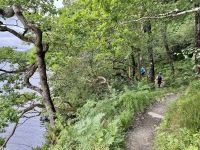 2. Reisetag – Loch Lomond & West Highland Way – Wanderung auf dem West Highland Way von Rowardennan nach Inversnaid