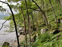 2. Reisetag – Loch Lomond & West Highland Way – Wanderung auf dem West Highland Way von Rowardennan nach Inversnaid
