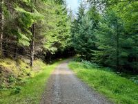 5. Reisetag – Fort William bis Inverness – Wanderung auf dem Great Glen Way von Fort Augustus nach Invermoriston