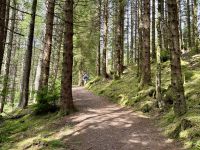 5. Reisetag – Fort William bis Inverness – Wanderung auf dem Great Glen Way von Fort Augustus nach Invermoriston