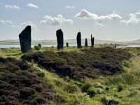 7. Reisetag – Tag auf den Orkney-Inseln – Ring of Brodgar
