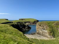 7. Reisetag – Tag auf den Orkney-Inseln – Spaziergang zu den Cliffs of Yesnaby