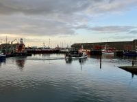 7. Reisetag – Tag auf den Orkney-Inseln – Abendstimmung im Hafen von Kirkwall