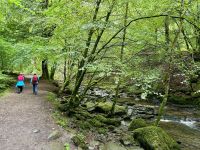 9. Reisetag – Inverness bis Edinburgh – Wanderung zu den Birks of Aberfeldy