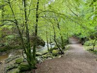9. Reisetag – Inverness bis Edinburgh – Wanderung zu den Birks of Aberfeldy