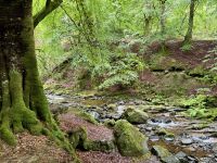 9. Reisetag – Inverness bis Edinburgh – Wanderung zu den Birks of Aberfeldy