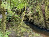 9. Reisetag – Inverness bis Edinburgh – Wanderung zu den Birks of Aberfeldy