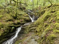 9. Reisetag – Inverness bis Edinburgh – Wanderung zu den Birks of Aberfeldy