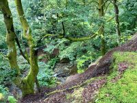 9. Reisetag – Inverness bis Edinburgh – Wanderung zu den Birks of Aberfeldy