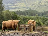 Glen Coe Besucherzentrum