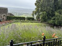 Stirling Castle - Stirling