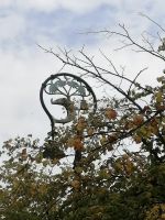 Der legendäre Fisch des St. Mungo