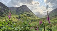 Glencoe