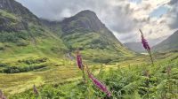 Glencoe