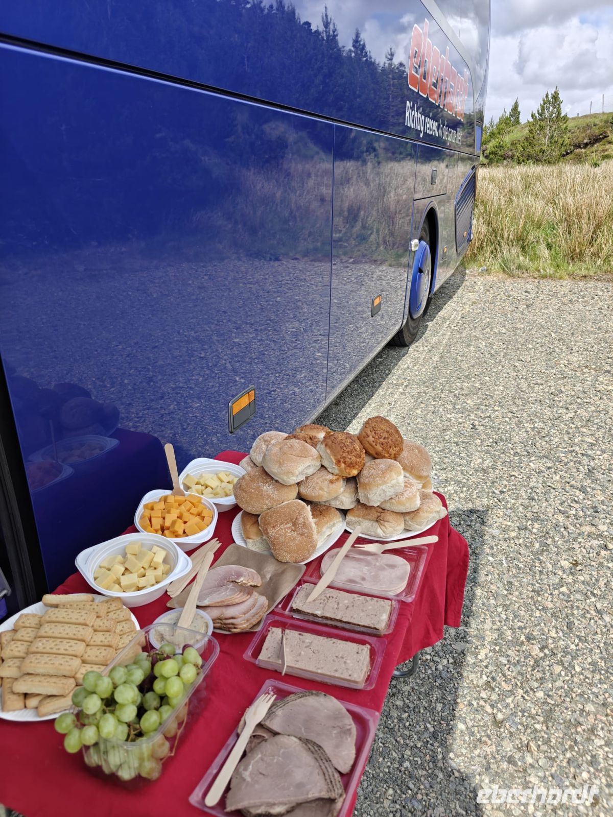 Überraschungs-Picknick