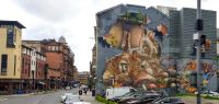 048 Glasgow, Street Art