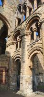287 Borders, Jedburgh Abbey
