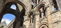 288 Borders, Jedburgh Abbey