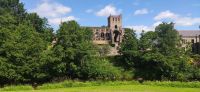 295 Borders, Jedburgh Abbey