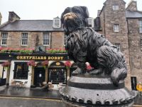 Bobby in Edinburgh
