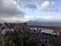 081.2 – Ben Nevis &ndash; &copy; Vivien Fiedler (Eberhardt TRAVEL)