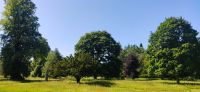 274 Borders, Dryburgh Abbey, Landschaftspark