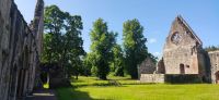 282 Borders, Dryburgh Abbey
