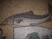 Schnappschüsse in Glasgow