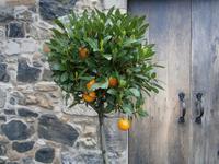 Schnappschüsse in Edinburgh