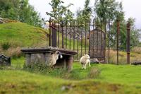 außerhalb von Fort William