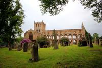Jedburgh Abbey