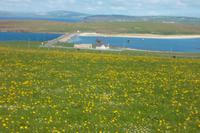 Churchill-Barriere von weitem