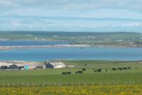 Churchill-Barriere von weitem