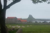 Blick über Holy Island zum Castle