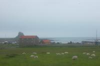 Blick über Holy Island zum Castle