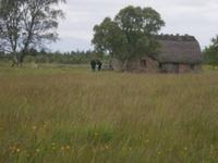 Culloden Battlefield