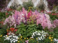 Blumen in Balmoral Castle