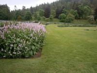 Blumen in Balmoral Castle